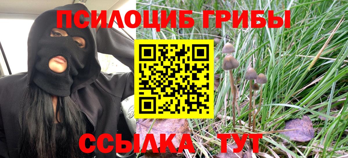 Псилоцибиновые грибы Cubensis  Вход с VPN  Куйбышев 